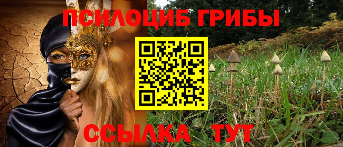 Гусиноозёрск  Псилоцибиновые грибы MAGIC MUSHROOMS  Вход с VPN 